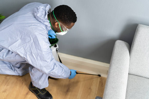 Best Fumigation Services  in Ellinwood, KS